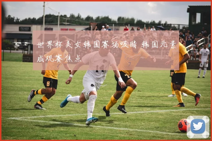 世界杯美女韩国赛场吸睛 韩国元素成观赛焦点